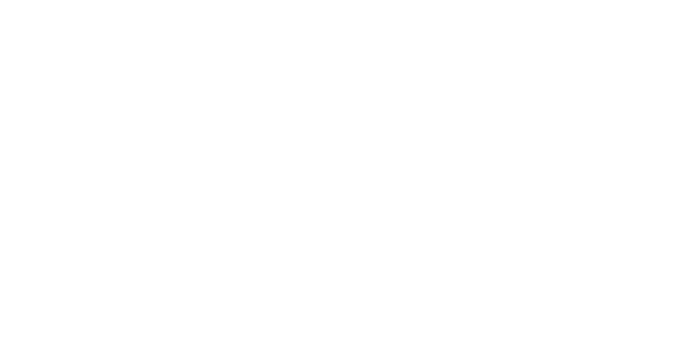 PN Daly logo